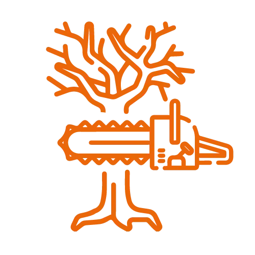 potatura-alberi-alto-fusto-a