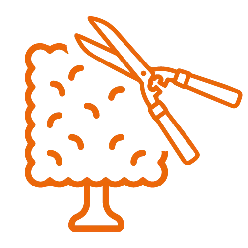 potatura-siepi