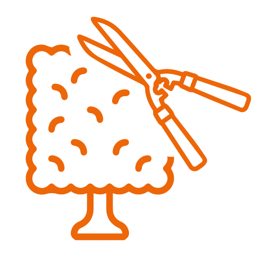 potatura-siepi