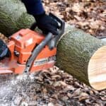Come usare la motosega in sicurezza: guida completa per principianti e professionisti