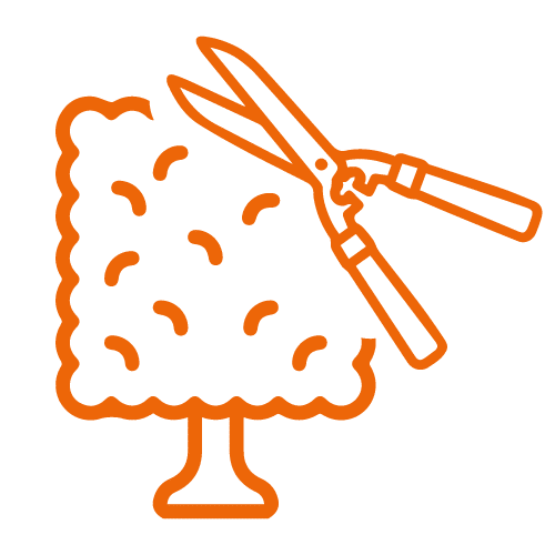 potatura-siepi
